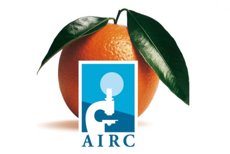 AIRC al Moro: la raccolta fondi