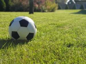 Un pallone da calcio sul tappeto erboso